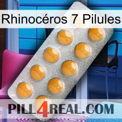 Rhinocéros 7 Pilules levitra1